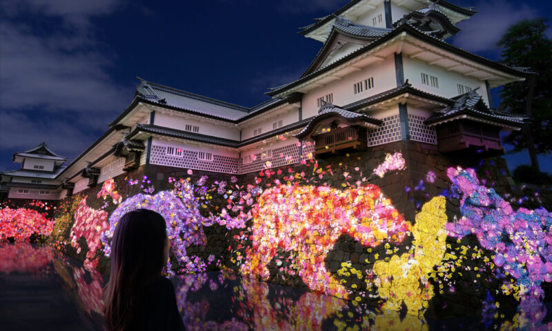 teamLab, Animals of Flowers, Symbiotic Lives in the Stone Wall - Kanazawa Castle © teamLab